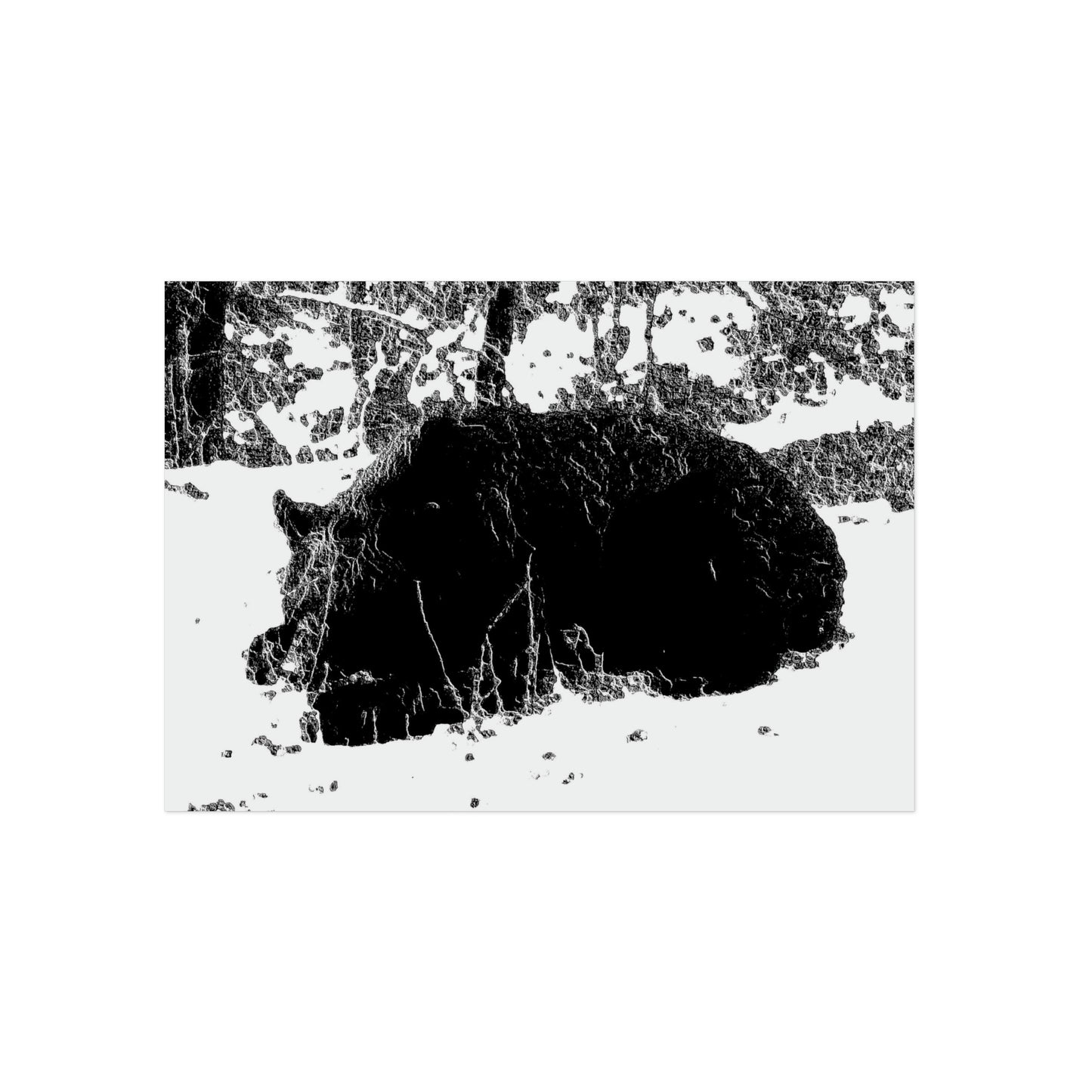 Aluminum Composite Panels ... A Local 'Yogi' ... RCY: "Rhett Creek Yogi: 500#'s Of Hungry Black Bear" ... 28-29Sep23 ... Original Works ... Client Project-Folio ...