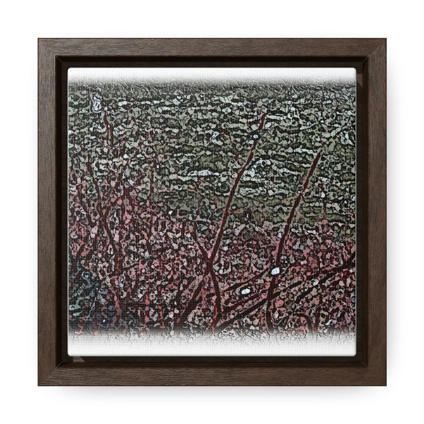 Gallery Canvas Wraps, Square Frame ... "A River Runs Through It" ... Red-Osier-Dogwood (Cornus Stonlifera 'Rubra') .. Original Works ... Central Idaho ...