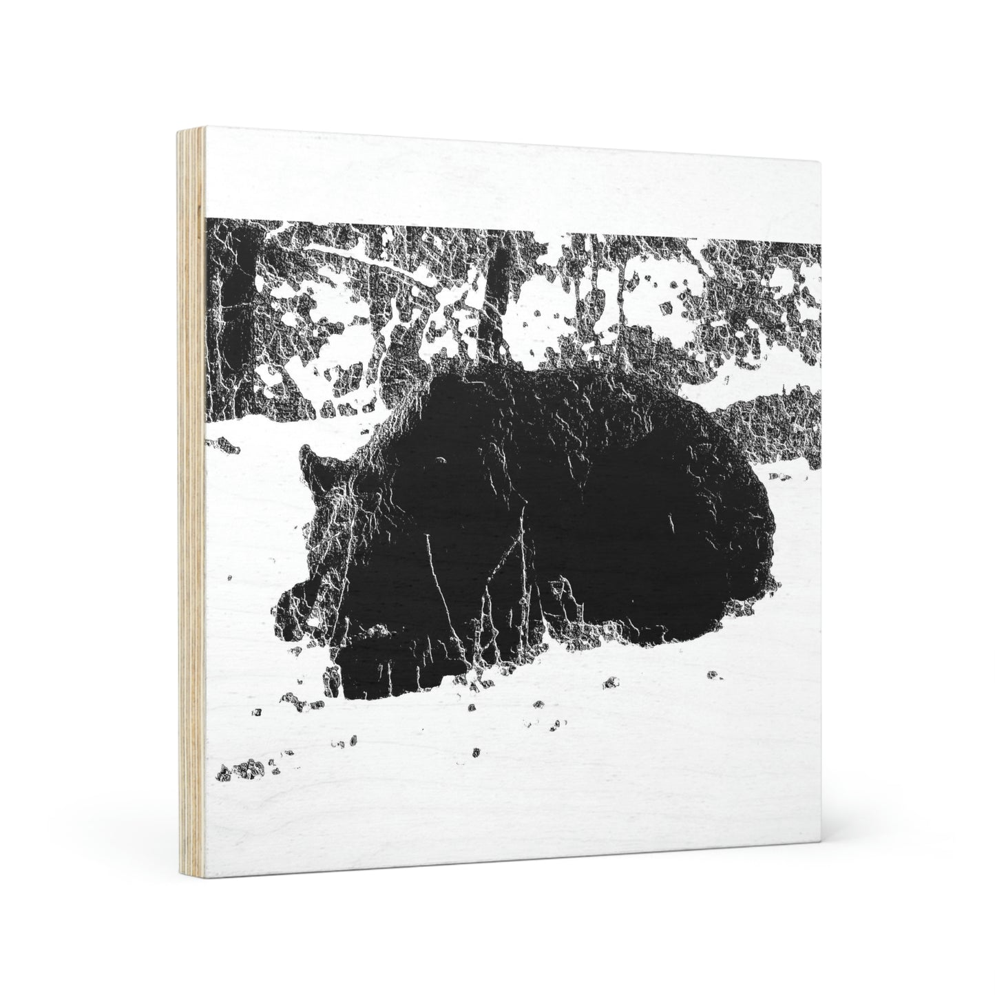 Wood Canvas ... RCY: "Rhett Creek Yogi ... '500 Lbs Of Autumn Season Hunger' ..."  ... September 2022 ... Central Idaho ... Original Works ...