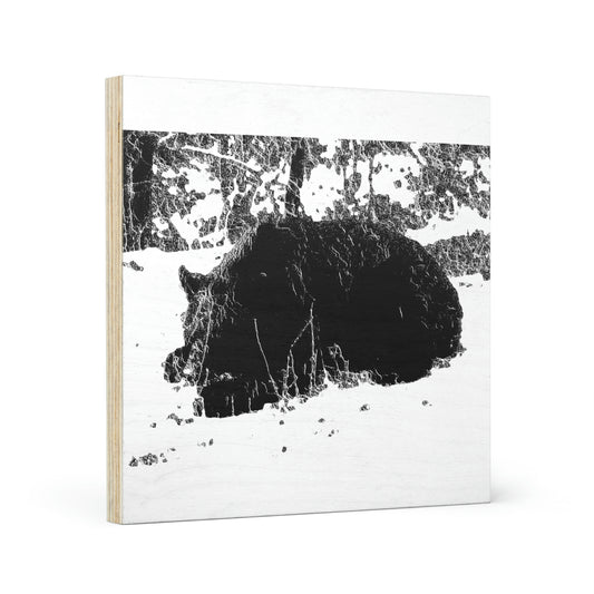 Wood Canvas ... RCY: "Rhett Creek Yogi ... '500 Lbs Of Autumn Season Hunger' ..."  ... September 2022 ... Central Idaho ... Original Works ...