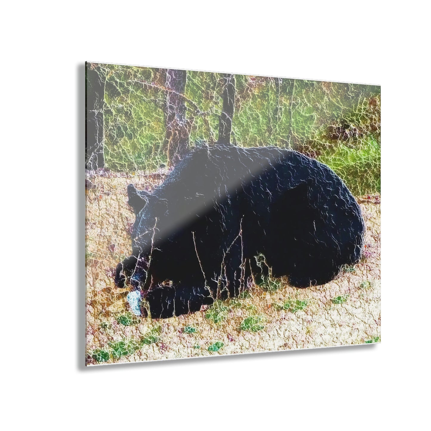Acrylic Prints (French Cleat Hanging) ... RCY: "Rhett Creek Yogi ... '500 Lbs Of Autumn Season Hunger' ..."  ... September 2022 ... Central Idaho ... Original Works ...