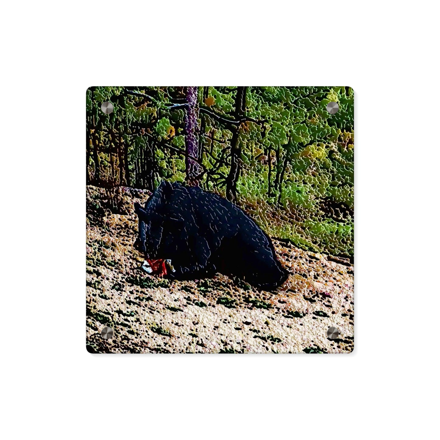 Acrylic Wall Art Panels ... RCY: "Rhett Creek Yogi ... '500 Lbs Of Autumn Season Hunger' ..."  ... September 2022 ... Central Idaho ... Original Works ...