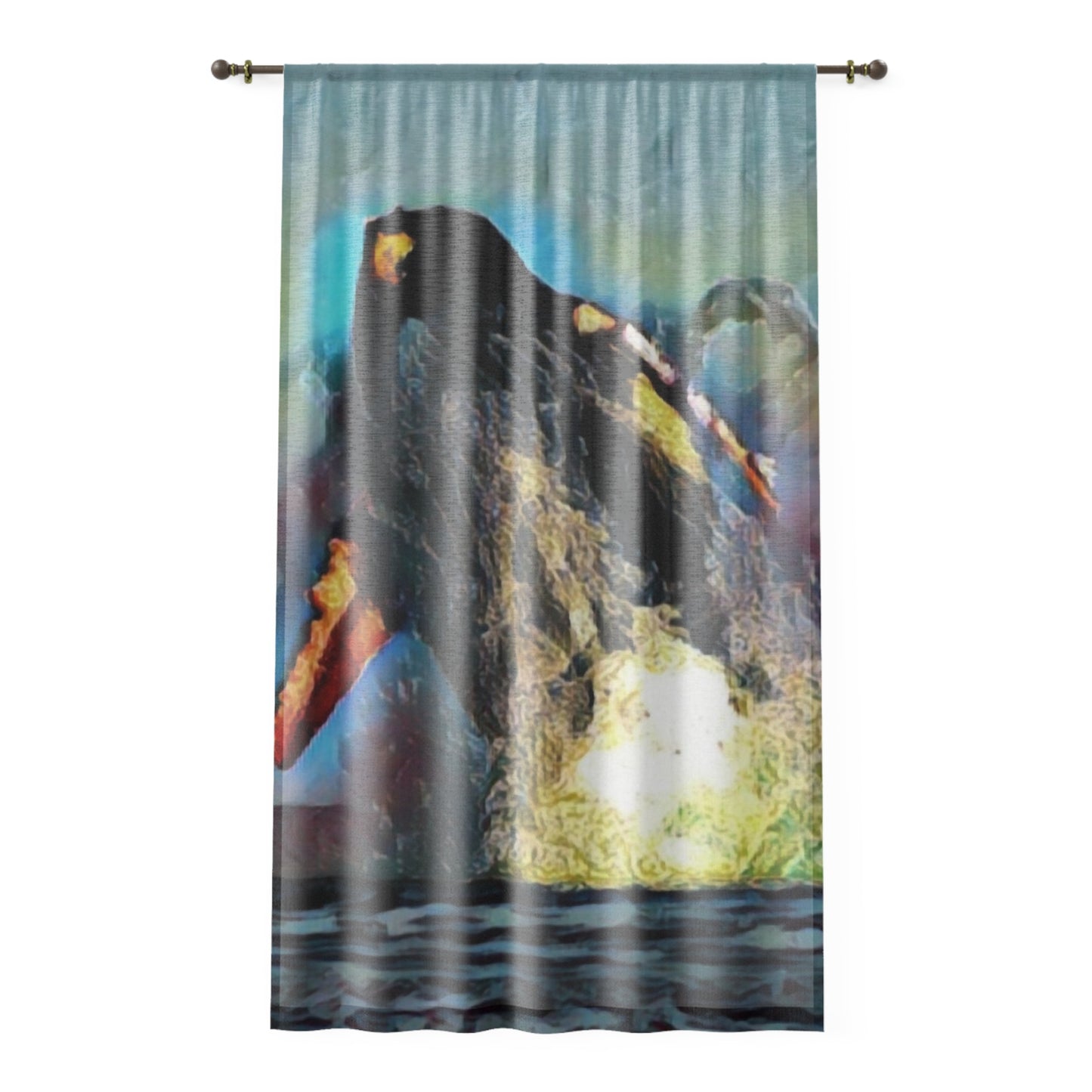 Window Curtain ... An Extraordinary Humpback Breach ... 'With Explosive Energy' ... Family Archives (KPH) ... Circa: 21st Century. Maui, HI ... Original Works ...