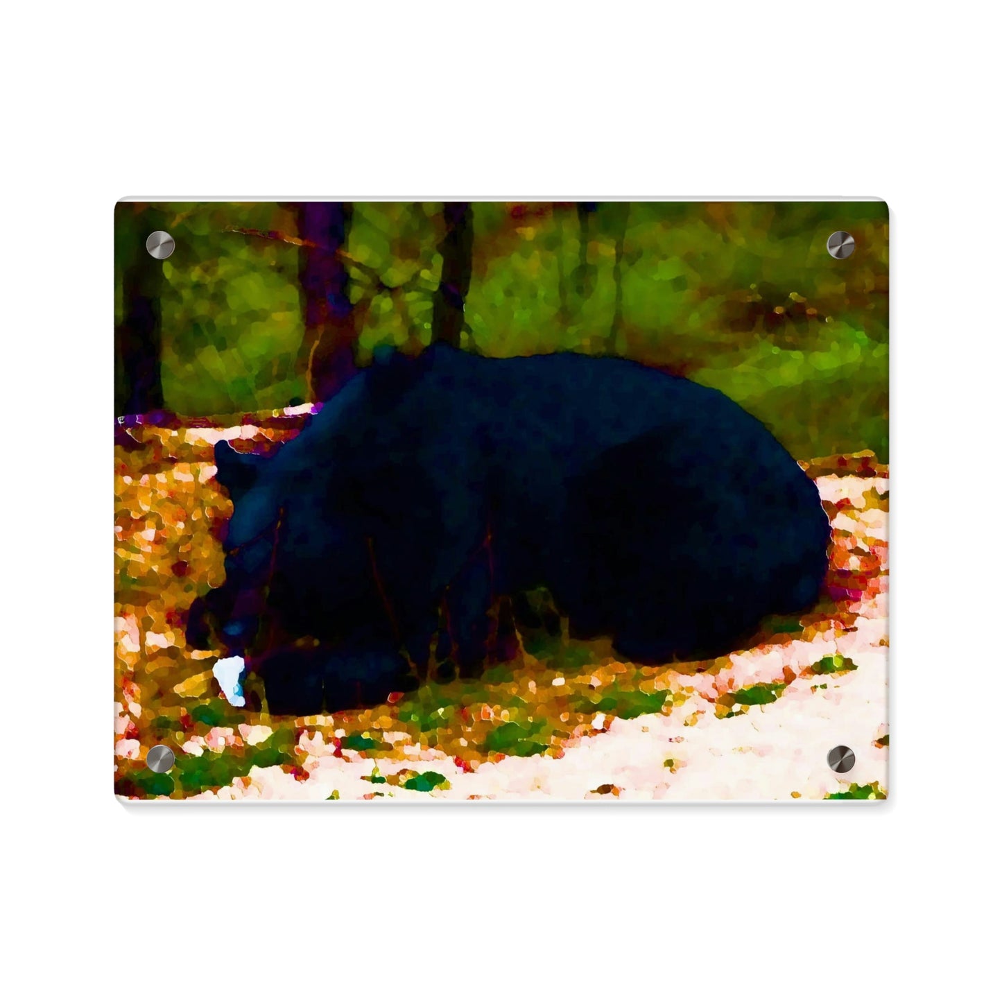 Acrylic Wall Art Panels ... RCY: "Rhett Creek Yogi ... '500 Lbs Of Autumn Season Hunger' ..."  ... September 2022 ... Central Idaho ... Original Works ...