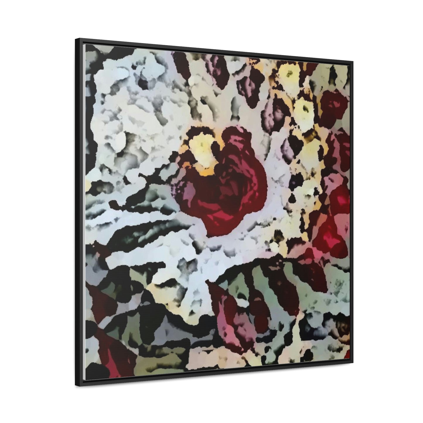 Gallery Canvas Wraps, Square Frame ... "A Friendly Flower" ... Pointsettia 'Pointing' ... Original Works ... (Supplied Photograph) ...
