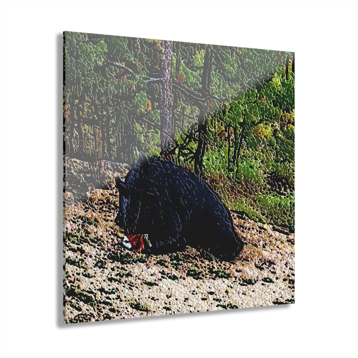 Acrylic Prints (French Cleat Hanging) ... RCY: "Rhett Creek Yogi ... '500 Lbs Of Autumn Season Hunger' ..."  ... September 2022 ... Central Idaho ... Original Works ...