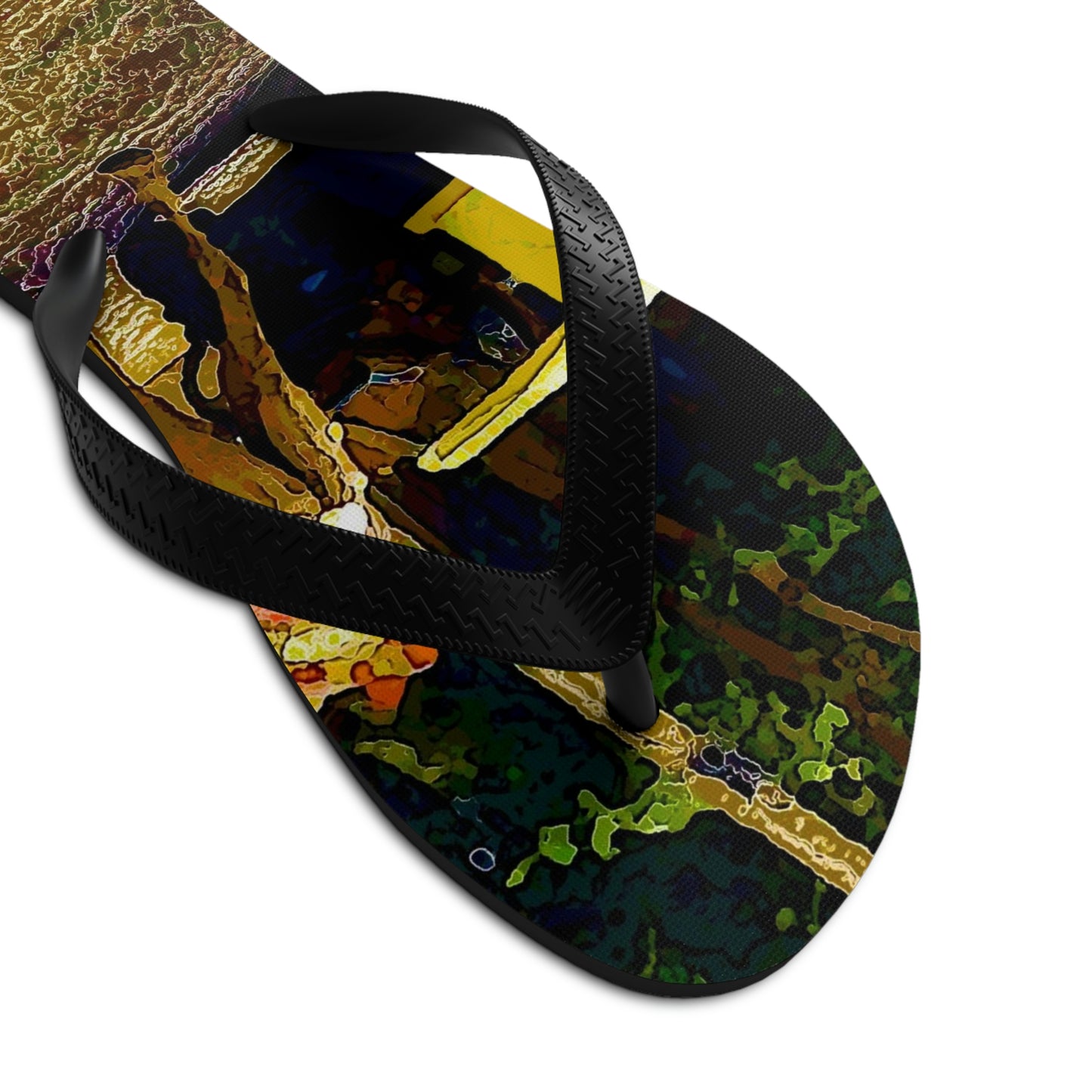 Unisex Flip-Flops ... "Truckin'-Up-To-Buffalo ... 'Oops - Wrong Country' ... Truckin'-Up-To-New Delll -'E' ... " ... (Delhi, India) ... 5July2007. Original Works ...