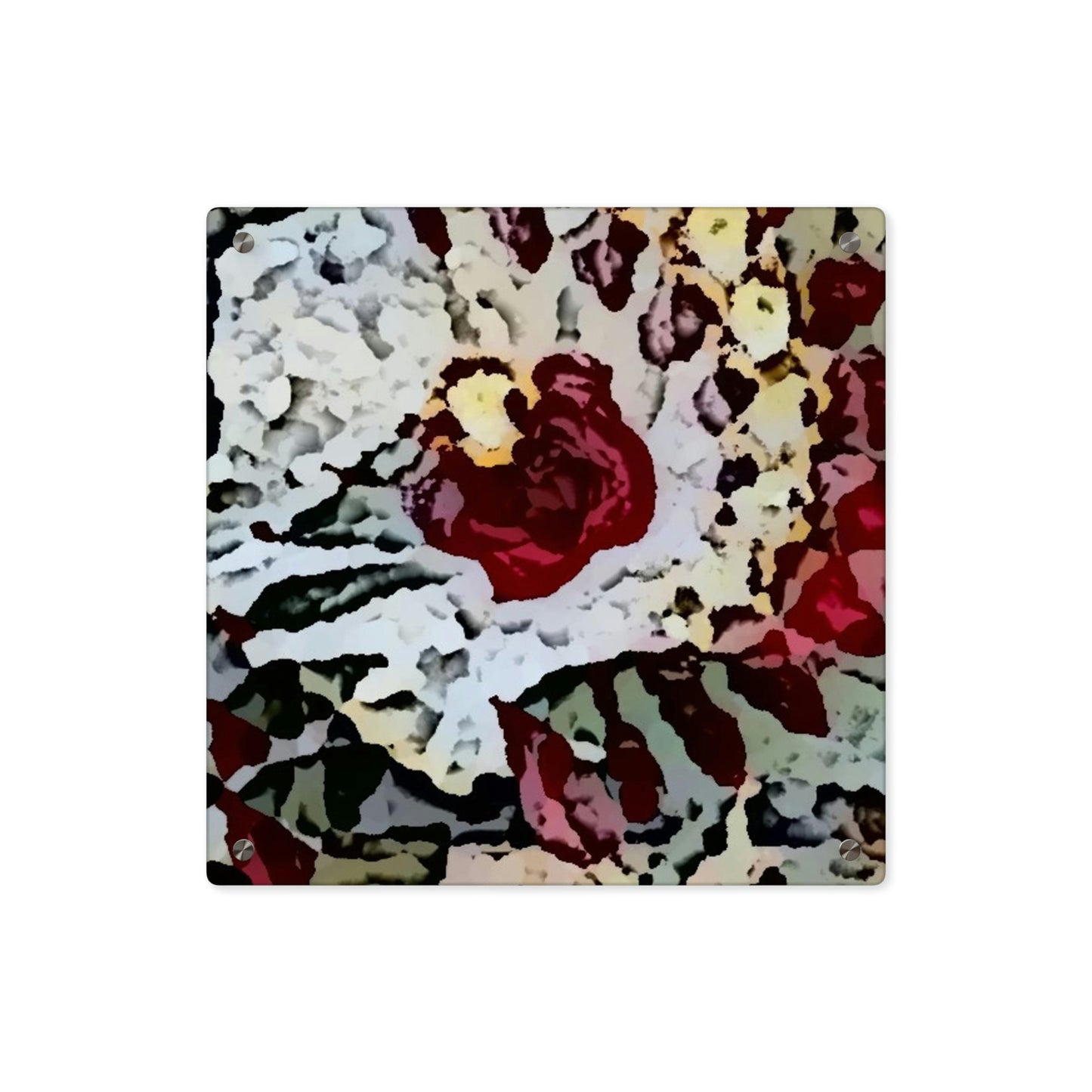 Acrylic Wall Art Panels ... "A Friendly Flower" ... Pointsettia 'Pointing' ... Original Works ... (Supplied Photograph) ...