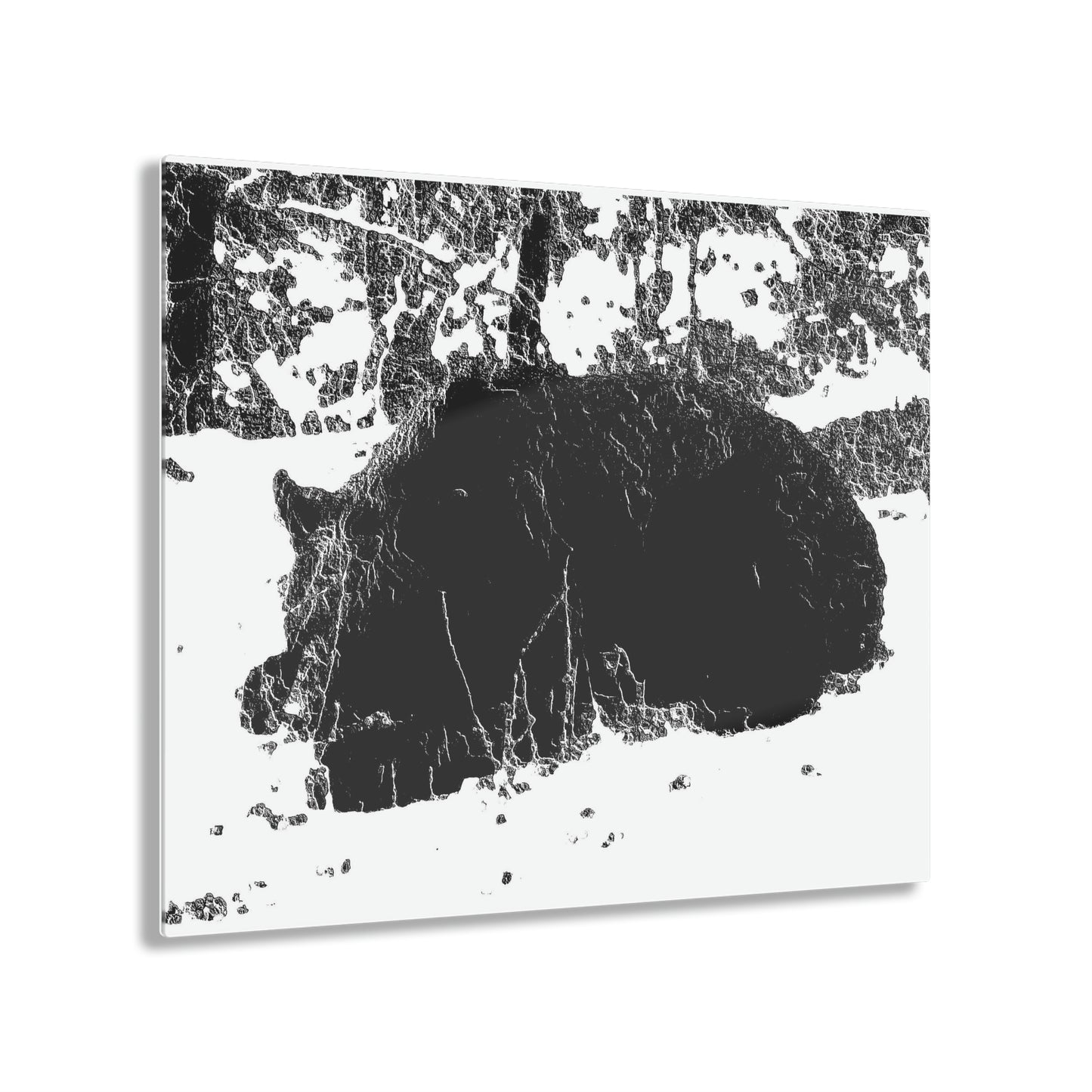 Acrylic Prints ... RCY: "Rhett Creek Yogi ... '500 Lbs Of Autumn Season Hunger' ..."  ... September 2022 ... Central Idaho ... Original Works ...