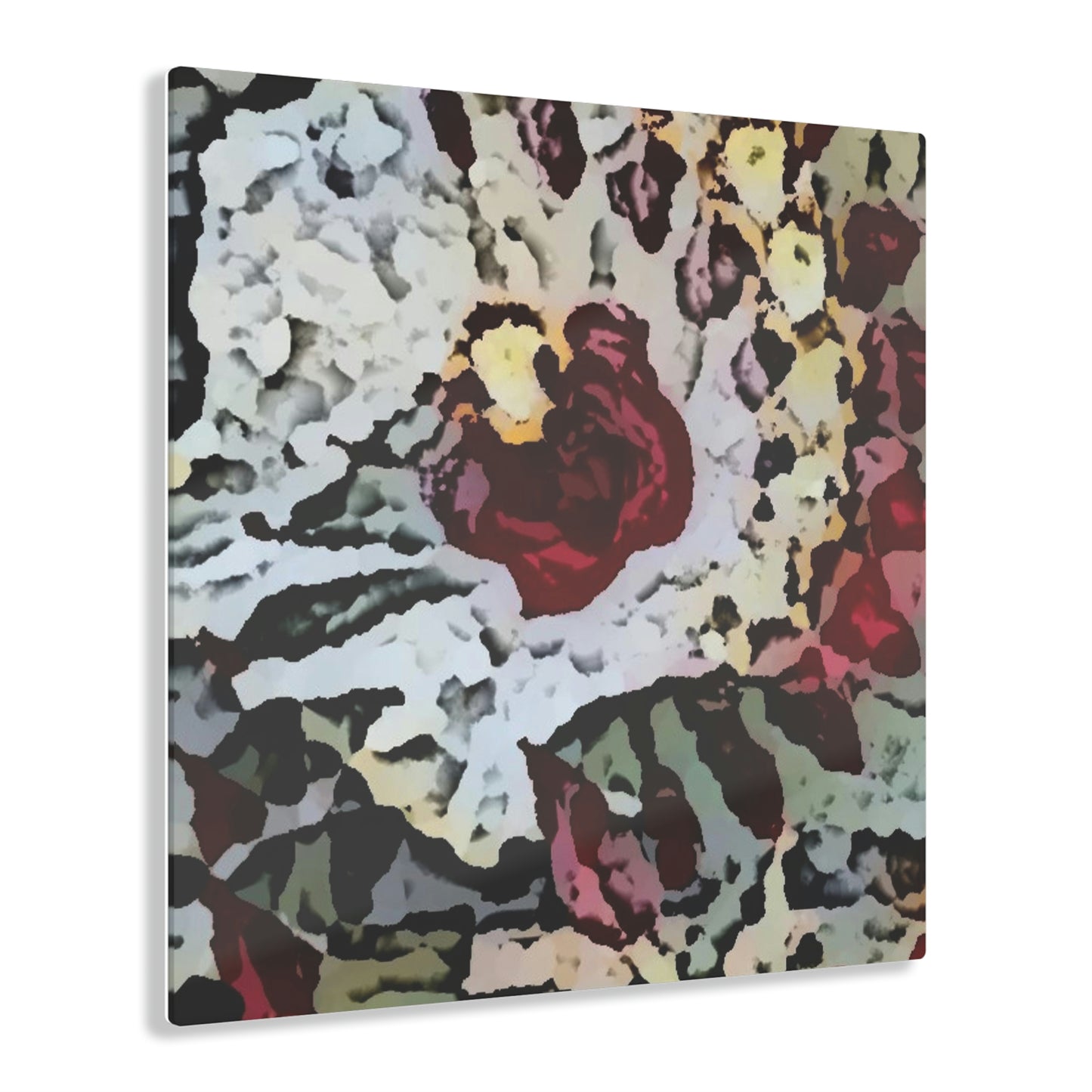 Acrylic Prints ... "A Friendly Flower" ... Pointsettia 'Pointing' ... Original Works ... (Supplied Photograph) ...