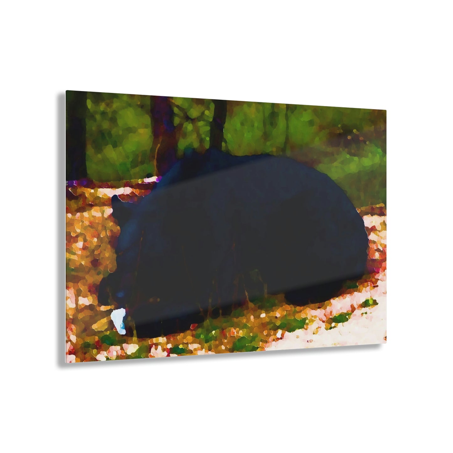 Acrylic Prints ... RCY: "Rhett Creek Yogi ... '500 Lbs Of Autumn Season Hunger' ..."  ... September 2022 ... Central Idaho ... Original Works ...