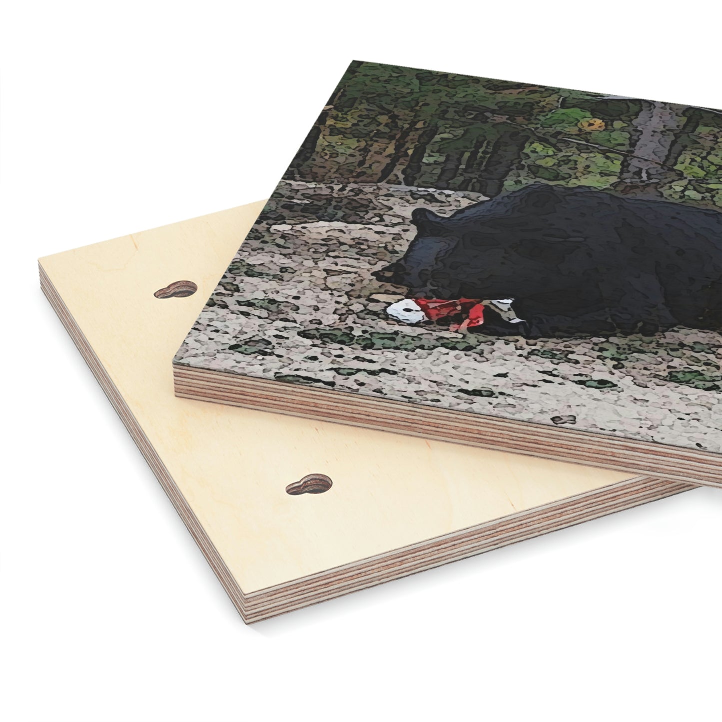 Wood Canvas ... RCY: "Rhett Creek Yogi ... '500 Lbs Of Autumn Season Hunger' ..."  ... September 2022 ... Central Idaho ... Original Works ...