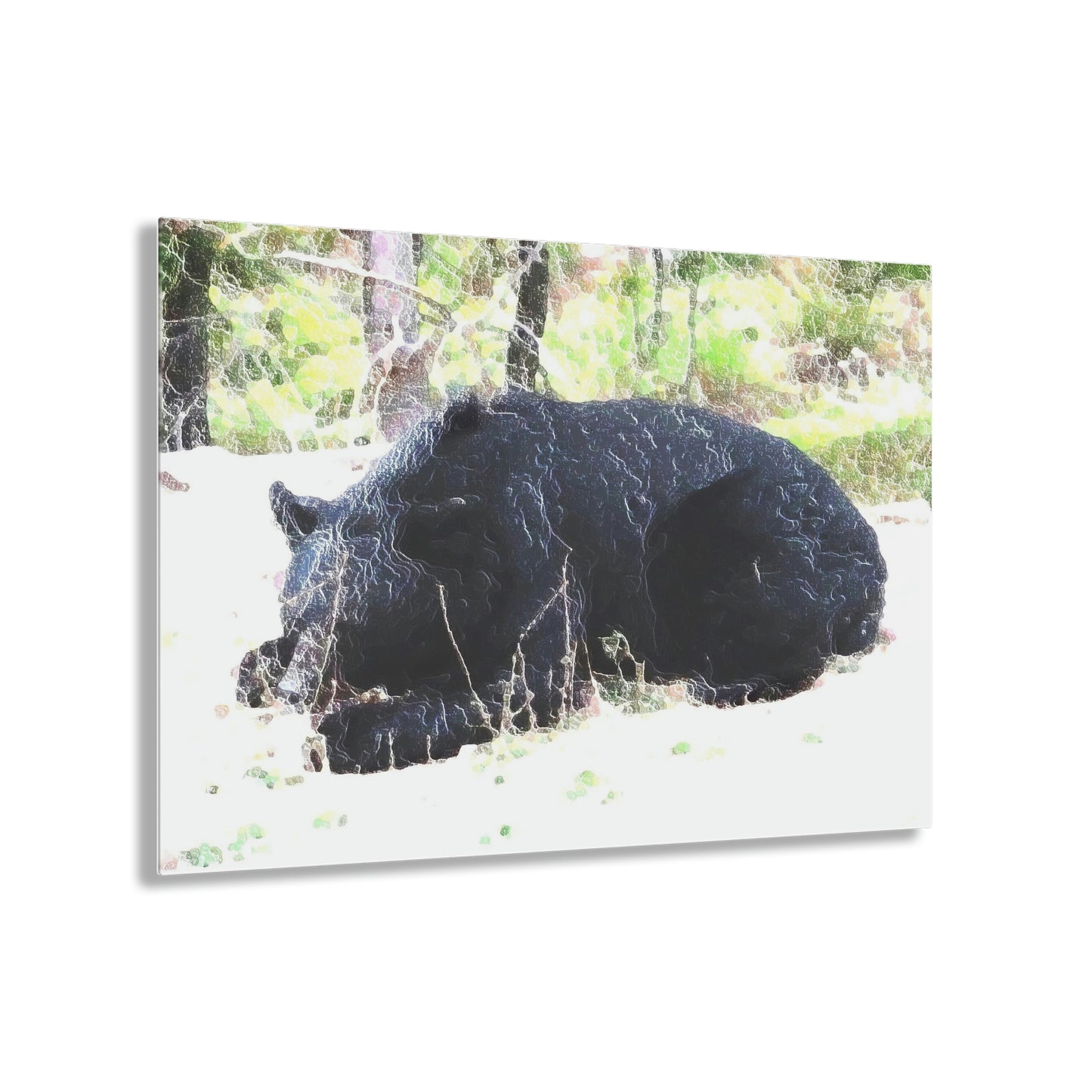 Acrylic Prints ... RCY: "Rhett Creek Yogi ... '500 Lbs Of Autumn Season Hunger' ..."  ... September 2022 ... Central Idaho ... Original Works ...