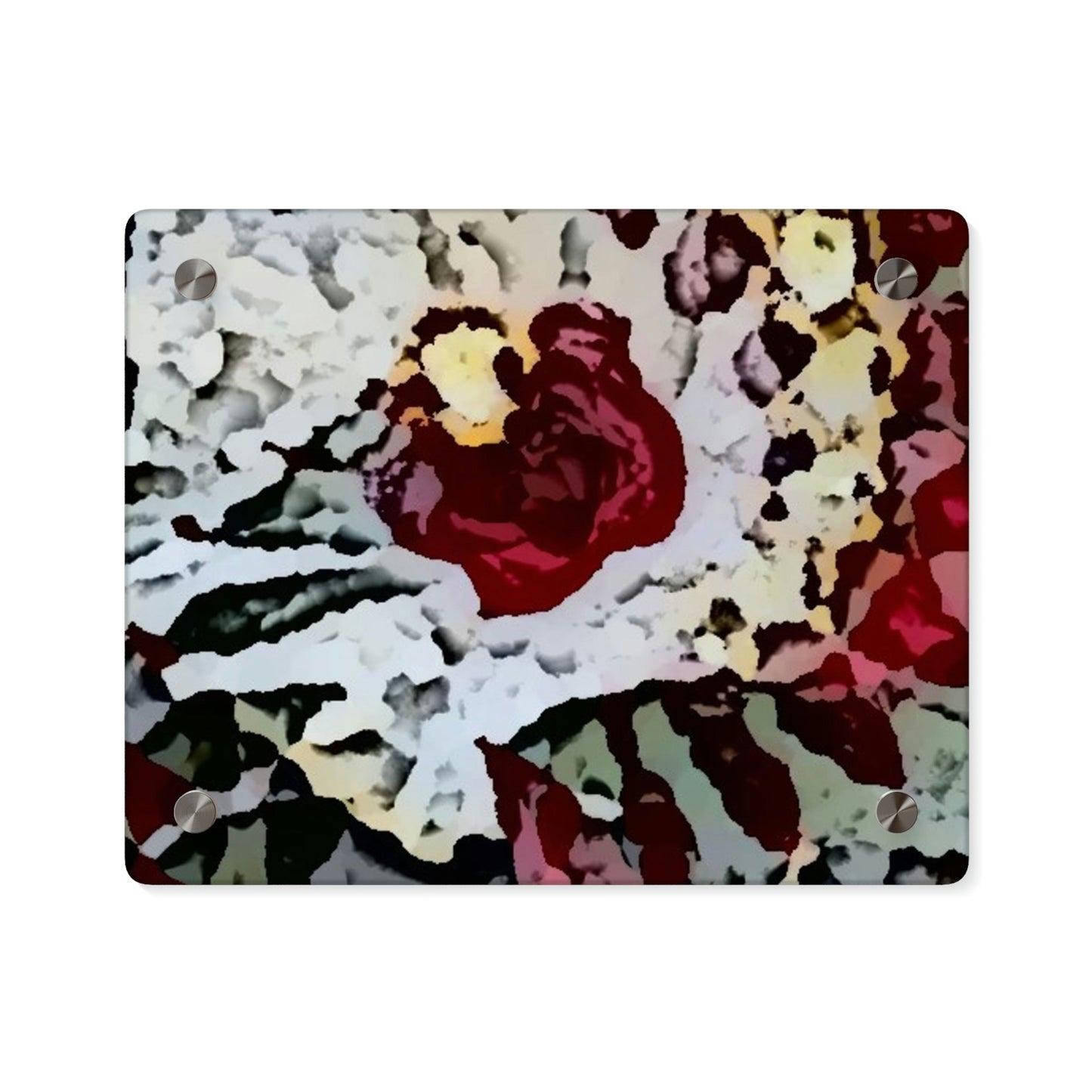 Acrylic Wall Art Panels ... "A Friendly Flower" ... Pointsettia 'Pointing' ... Original Works ... (Supplied Photograph) ...