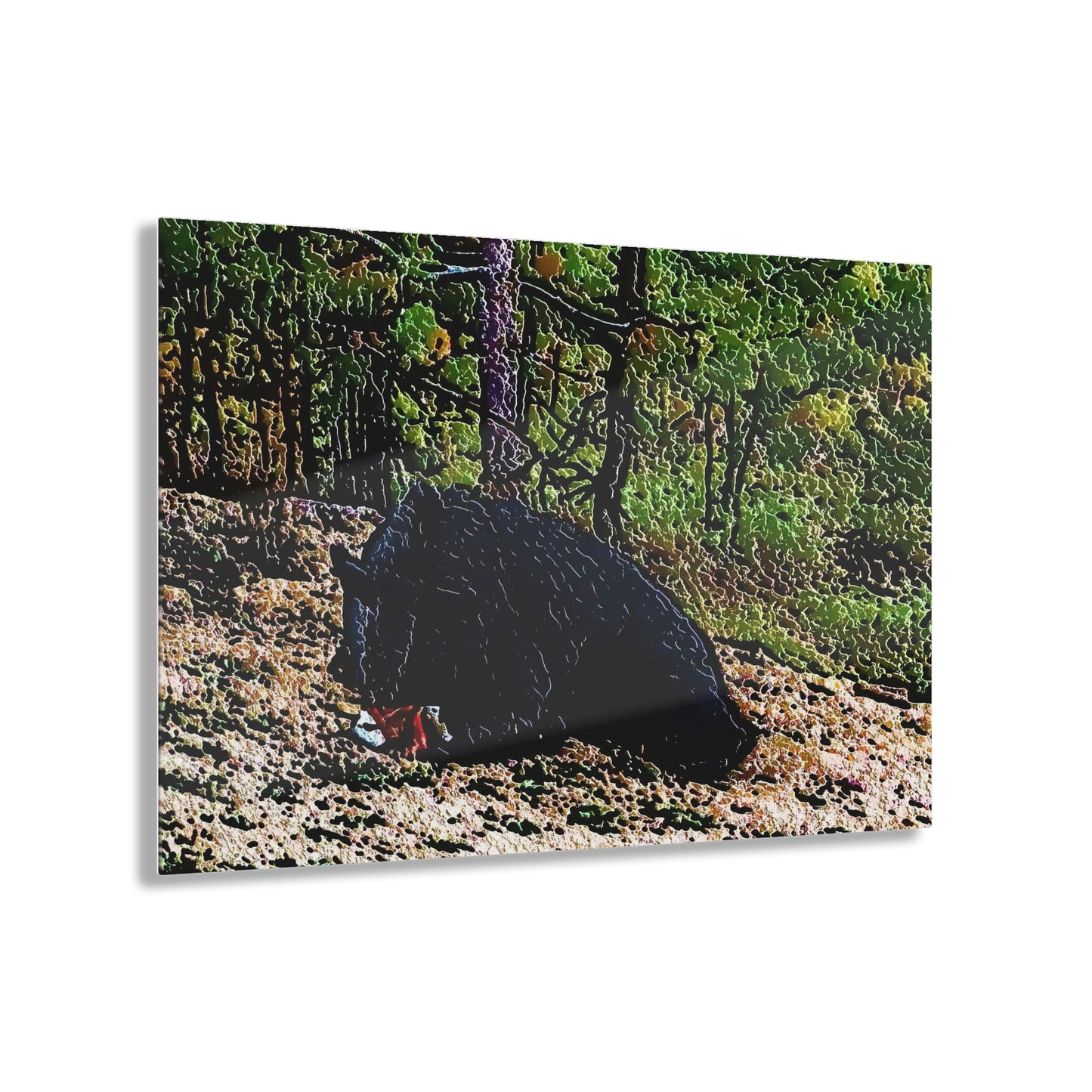 Acrylic Prints ... RCY: "Rhett Creek Yogi ... '500 Lbs Of Autumn Season Hunger' ..."  ... September 2022 ... Central Idaho ... Original Works ...