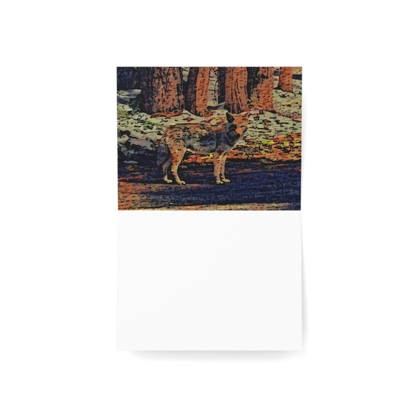 Greeting Cards (1, 10, 30, and 50pcs) ... Coyote ... "Yosemite Valley: Circa May23 ... KPH Base Photo" ... Original Works ...